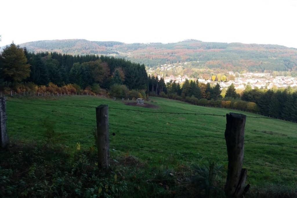 Maison Independ. 6 Personnes A 10 Mn De Gerardmer Granges-sur-Vologne Exterior photo
